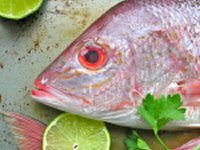 Smoked Snapper with Lemon Couscous